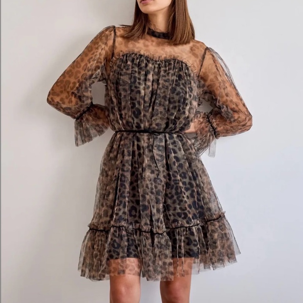 Leopard Print Sheer Dress
